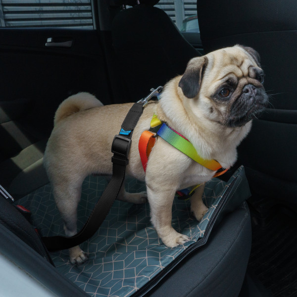 Автомобільний Ремінь Безпеки для Собак Barksi Нейлоновий Чорний