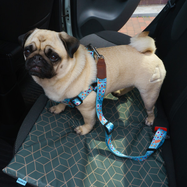 Автомобільний Ремінь Безпеки для Собак Barksi Нейлоновий Принтований Квіти Ментоловий