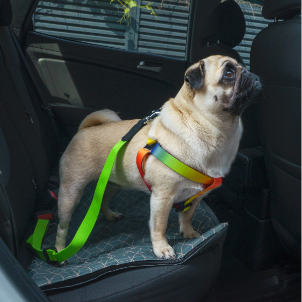 Автомобільний Ремінь Безпеки для Собак Barksi Нейлоновий Салатовий
