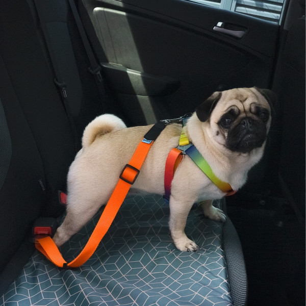 Автомобільний Ремінь Безпеки для Собак Barksi Нейлоновий Помаранчевий