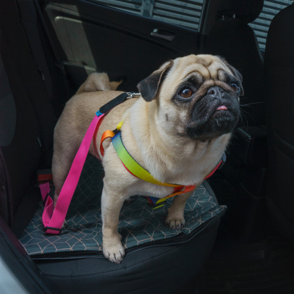 Автомобільний Ремінь Безпеки для Собак Barksi Нейлоновий Рожевий