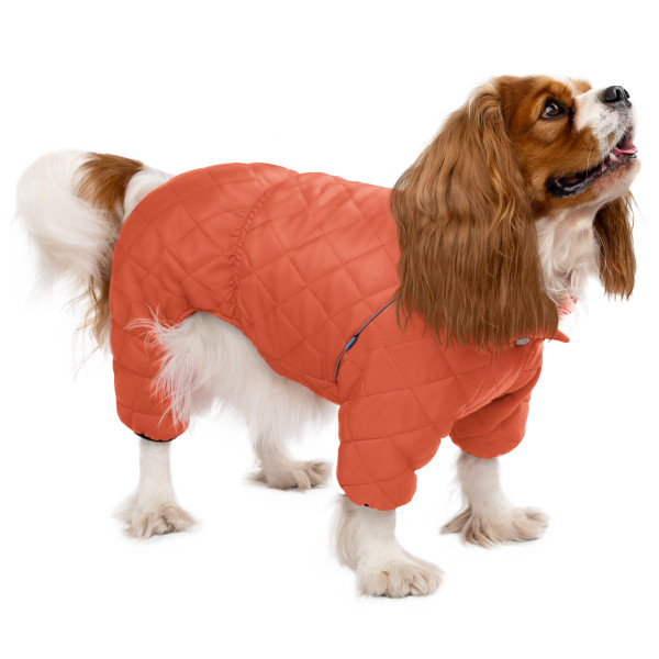 Комбінезон для собак Barksi Textile Помаранчевий