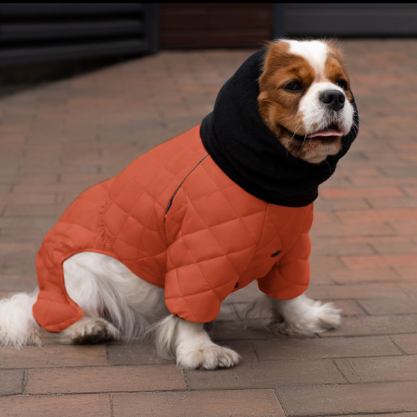 Комбінезон для собак Barksi Textile Помаранчевий