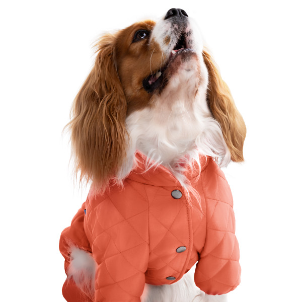 Комбінезон для собак Barksi Textile Помаранчевий