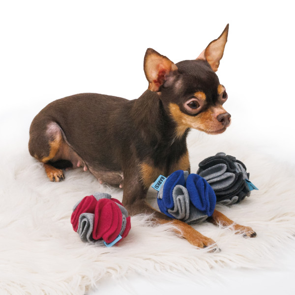 Іграшка для Тварин Barksi м'яч пошуковий набір із 3-х штук