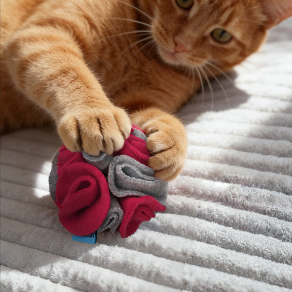 Іграшка для Тварин Barksi м'яч пошуковий набір із 3-х штук