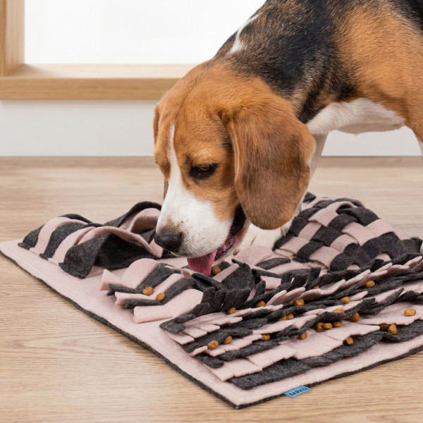 Килим пошуковий для тварин Barksi 50х42 см