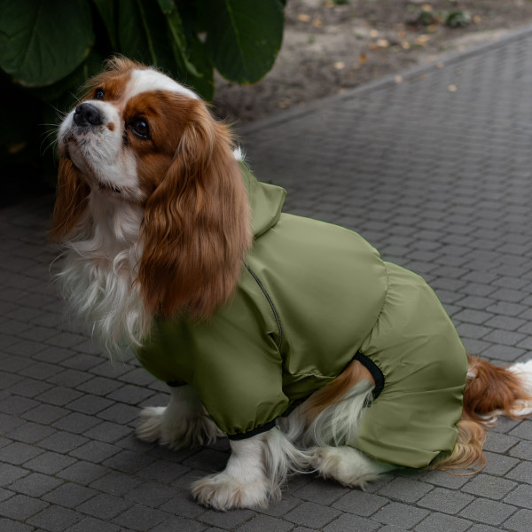 Комбінезон-дощовик для собак Barksi Textile Оливковий