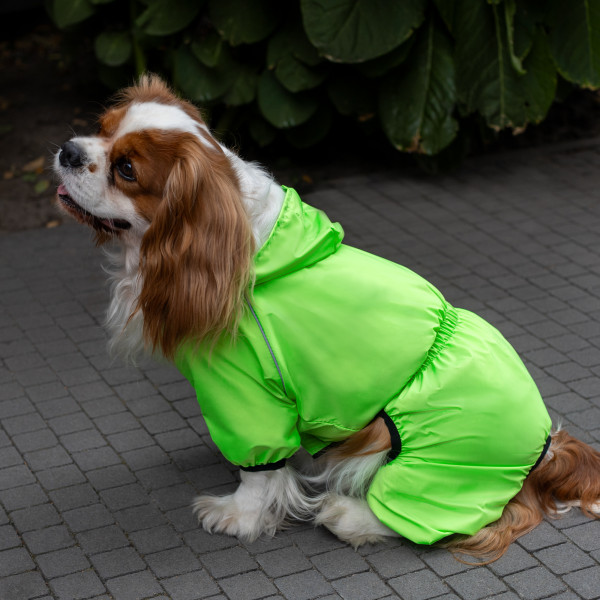 Комбінезон-дощовик для собак Barksi Textile Салатовий