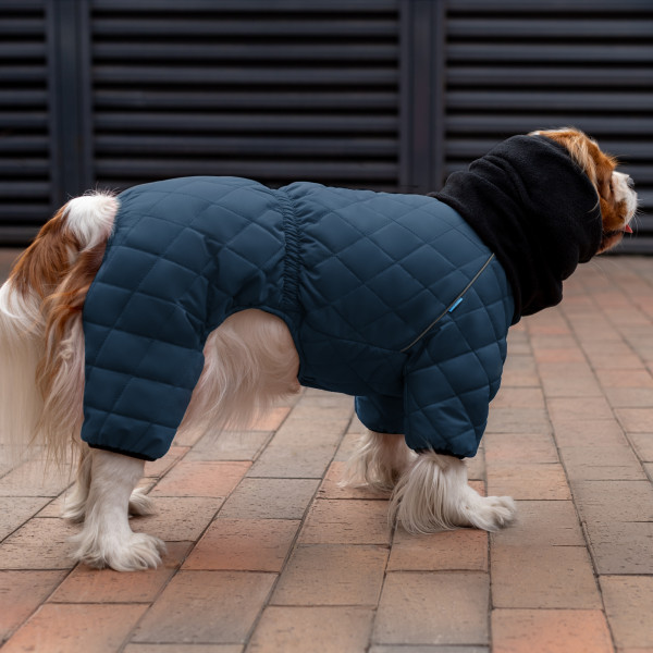 Комбінезон для собак Barksi Textile Синій