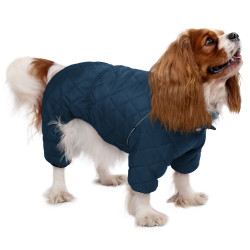 Комбінезон для собак Barksi Textile Синій