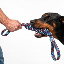 Іграшка для Собак з Тасьми Barksi M