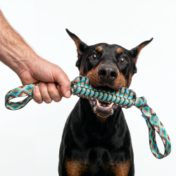 Іграшка для Собак з Тасьми Barksi L