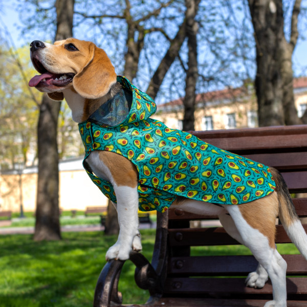 Дощовик для собак Barksi Textile з капюшоном Авокадо
