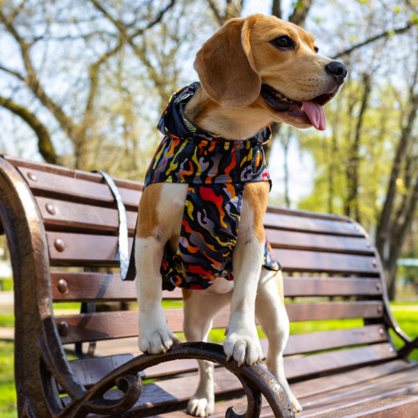 Дощовик для собак Barksi Textile з капюшоном Гравітація
