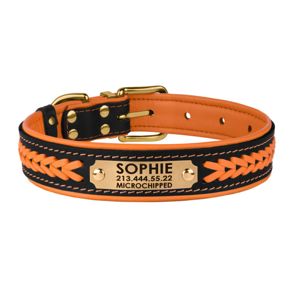 Нашийник для Собак Шкіряний BronzeDog Premium з Литою Латунною Фурнітурою та Адресником Чорно-Помаранчевий