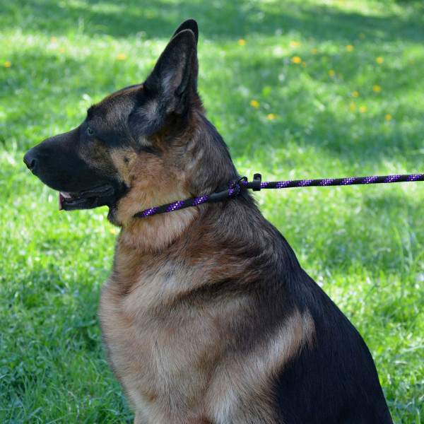 Повідець-Зашморг для Собак Bronzedog Active з Альпіністського Шнура Світловідбиваючий Чорно-Фіолетовий