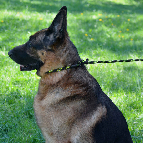 Повідець-Зашморг для Собак Bronzedog Active з Альпіністського Шнура Світловідбиваючий Чорно-Салатовий