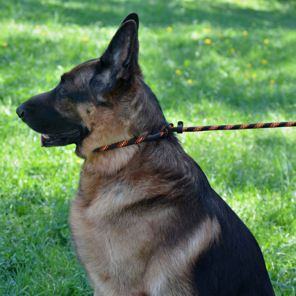 Повідець-Зашморг для Собак Bronzedog Active з Альпіністського Шнура Світловідбиваючий Чорно-Помаранчевий