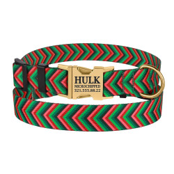 Нашийник для Собак BronzeDog Urban Полоска Нейлоновий з Металевою Пряжкою Червоно-Зелений