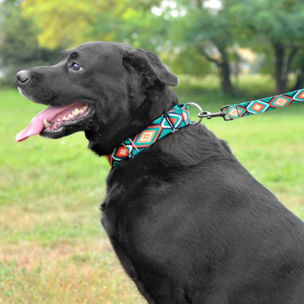 Повідець для Собак Bronzedog Urban Нейлоновий Ромби