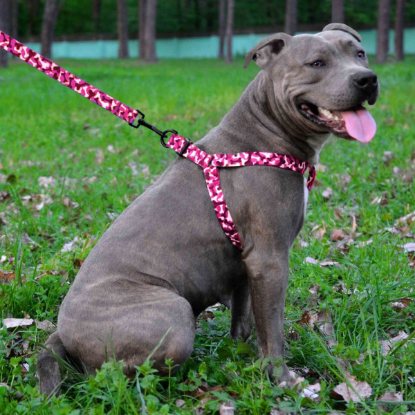 Повідець для Собак Bronzedog Urban Кісточка Нейлоновий Рожевий