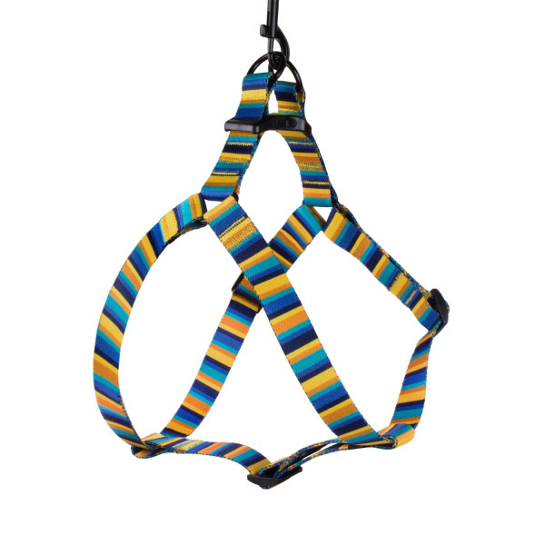 Шлея для Собак BronzeDog Urban Полоска Нейлонова Жовто-Синя