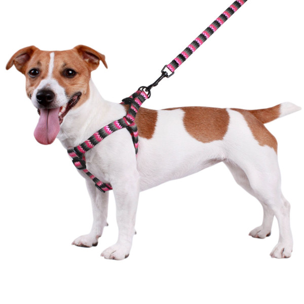 Шлея для Собак BronzeDog Urban Зигзаг Нейлонова Сіро-Рожева