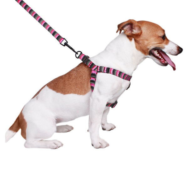 Шлея для Собак BronzeDog Urban Зигзаг Нейлонова Сіро-Рожева