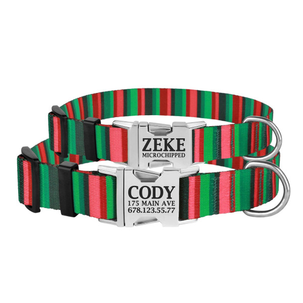 Нашийник для Собак BronzeDog Urban Полоска Нейлоновий з Металевою Пряжкою Червоно-Зелений
