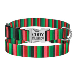 Нашийник для Собак BronzeDog Urban Полоска Нейлоновий з Металевою Пряжкою Червоно-Зелений
