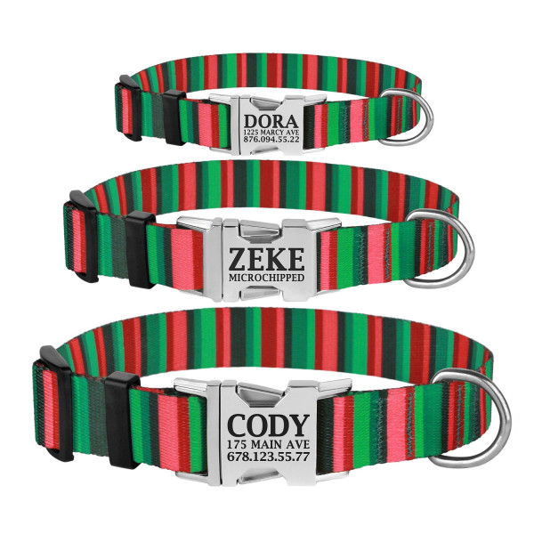 Нашийник для Собак BronzeDog Urban Полоска Нейлоновий з Металевою Пряжкою Червоно-Зелений