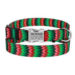Нашийник для Собак BronzeDog Urban Полоска Нейлоновий з Металевою Пряжкою Червоно-Зелений