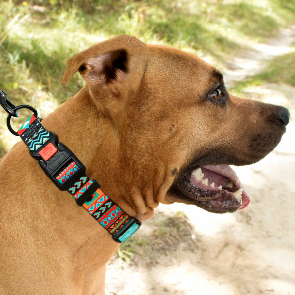 Нашийник для Собак BronzeDog Urban Нейлоновий з Пластиковою Пряжкою Ацтеки
