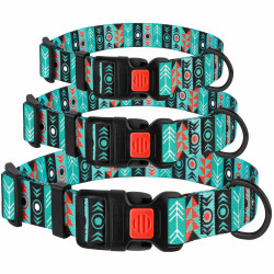 Нашийник для Собак BronzeDog Urban Нейлоновий з Пластиковою Пряжкою Інки