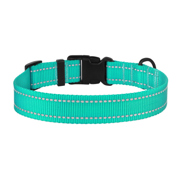 Нашийник для Собак BronzeDog Active Нейлоновий зі Світловідбиттям та Пластиковою Пряжкою Ментоловий