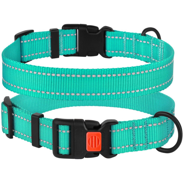 Нашийник для Собак BronzeDog Active Нейлоновий зі Світловідбиттям та Пластиковою Пряжкою Ментоловий