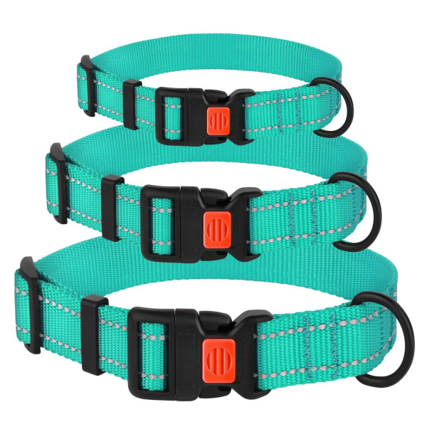 Нашийник для Собак BronzeDog Active Нейлоновий зі Світловідбиттям та Пластиковою Пряжкою Ментоловий