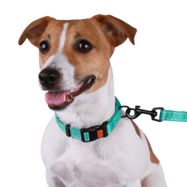 Нашийник для Собак BronzeDog Active Нейлоновий зі Світловідбиттям та Пластиковою Пряжкою Ментоловий