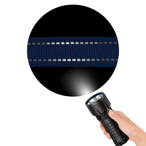 Нашийник для Собак BronzeDog Active Нейлоновий зі Світловідбиттям та Пластиковою Пряжкою Ментоловий