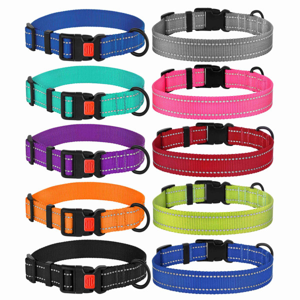 Нашийник для Собак BronzeDog Active Нейлоновий зі Світловідбиттям та Пластиковою Пряжкою Фіолетовий