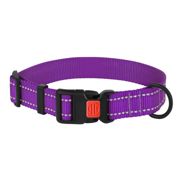 Нашийник для Собак BronzeDog Active Нейлоновий зі Світловідбиттям та Пластиковою Пряжкою Фіолетовий