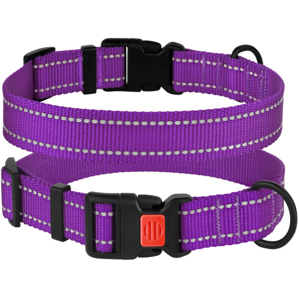 Нашийник для Собак BronzeDog Active Нейлоновий зі Світловідбиттям та Пластиковою Пряжкою Фіолетовий