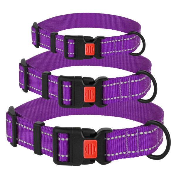 Нашийник для Собак BronzeDog Active Нейлоновий зі Світловідбиттям та Пластиковою Пряжкою Фіолетовий