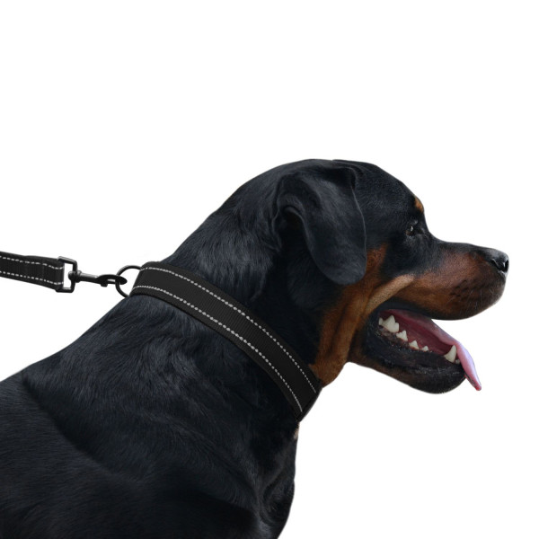 Повідець для Собак Bronzedog Active Нейлоновий зі Світловідбиттям Чорний