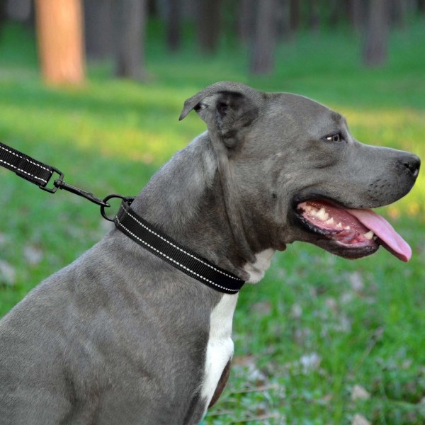 Повідець для Собак Bronzedog Active Нейлоновий зі Світловідбиттям Чорний