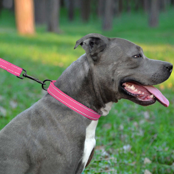 Повідець для Собак Bronzedog Active Нейлоновий зі Світловідбиттям Рожевий