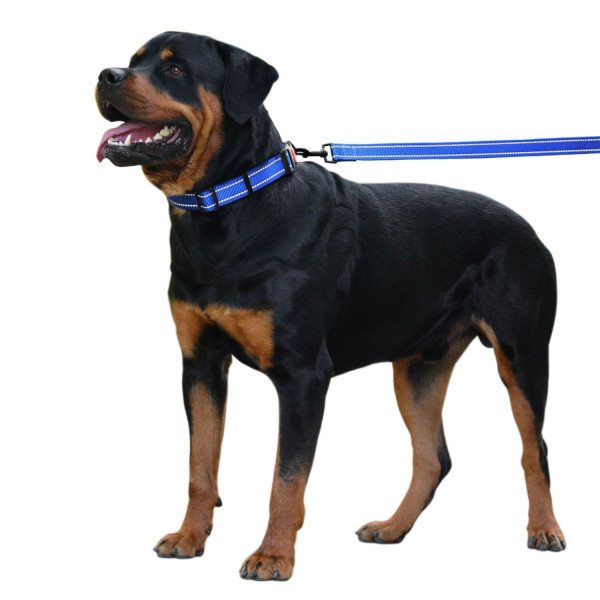 Повідець для Собак Bronzedog Active Нейлоновий зі Світловідбиттям Синій