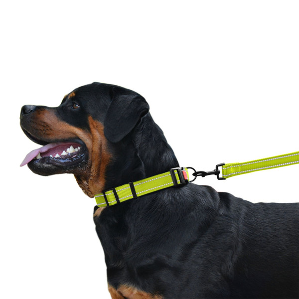 Повідець для Собак Bronzedog Active Нейлоновий зі Світловідбиттям Салатовий