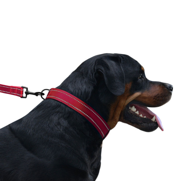 Повідець для Собак Bronzedog Active Нейлоновий зі Світловідбиттям Червоний